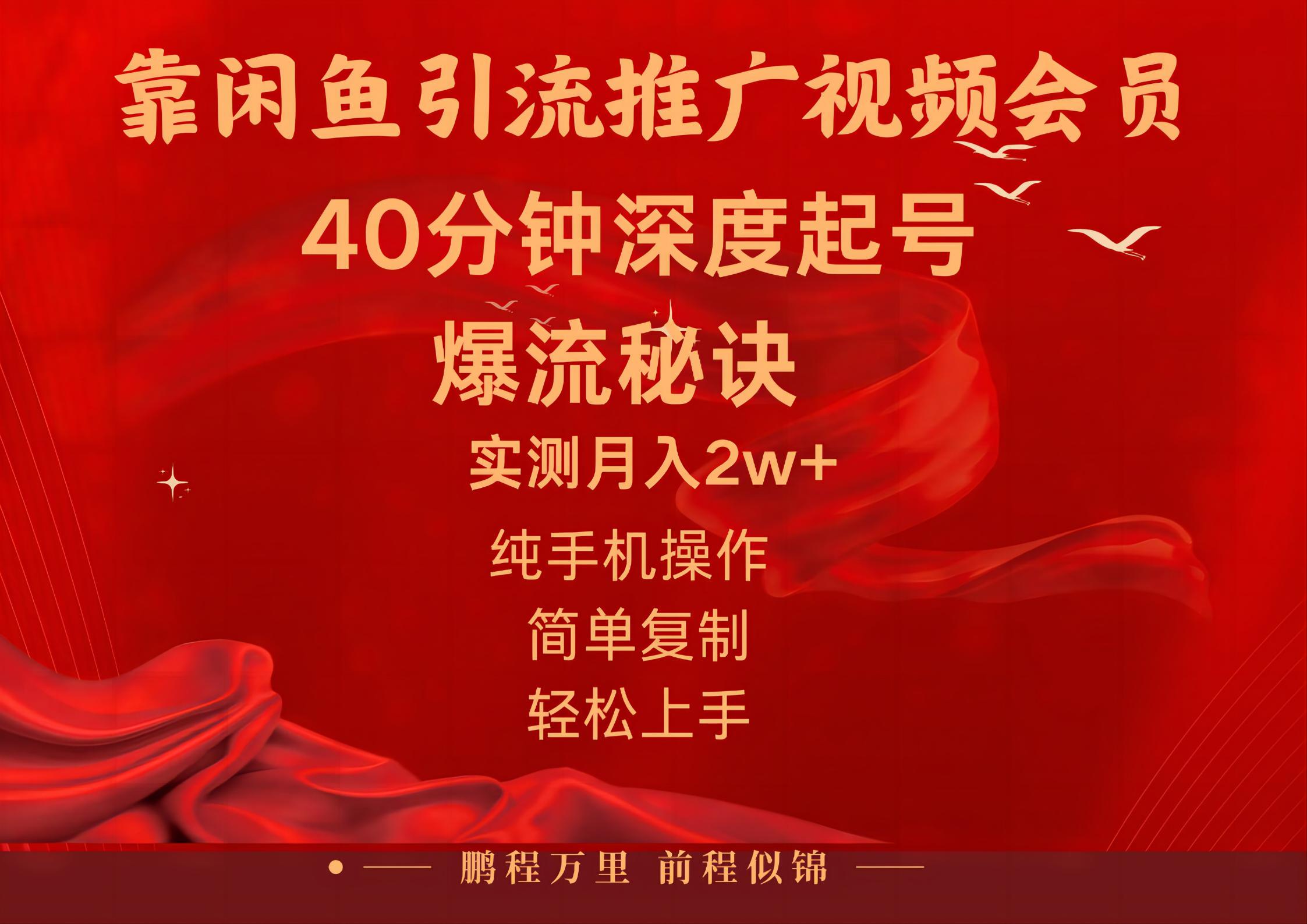 闲鱼暴力引流推广视频会员，能做到日入2W+，操作简单-副业网