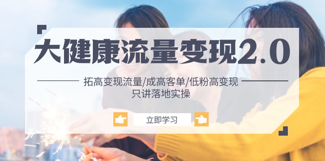 大健康 流量 变现2.0：拓高变现 流量/成高客单/低粉高变现/只讲落地实战-副业网