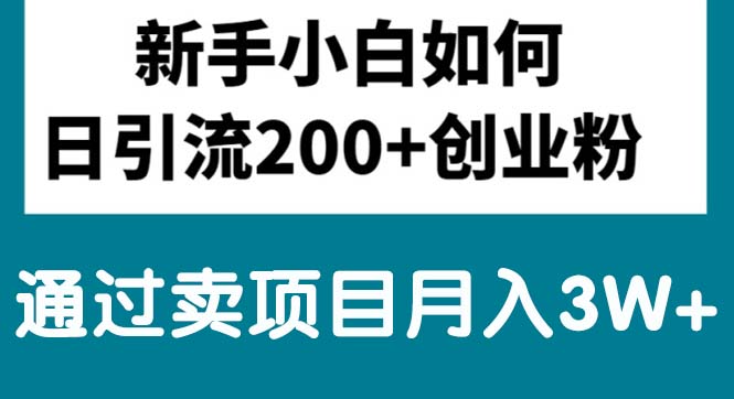 新手小白日引流200+创业粉,通过卖项目月入3W+-副业网