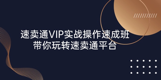 速卖通 VIP实战操作-速成班，带你玩转速卖通平台-副业网