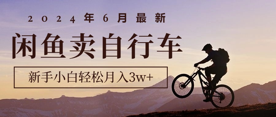 2024年6月最新闲鱼卖自行车，新手小白轻松月入3w+项目-副业网
