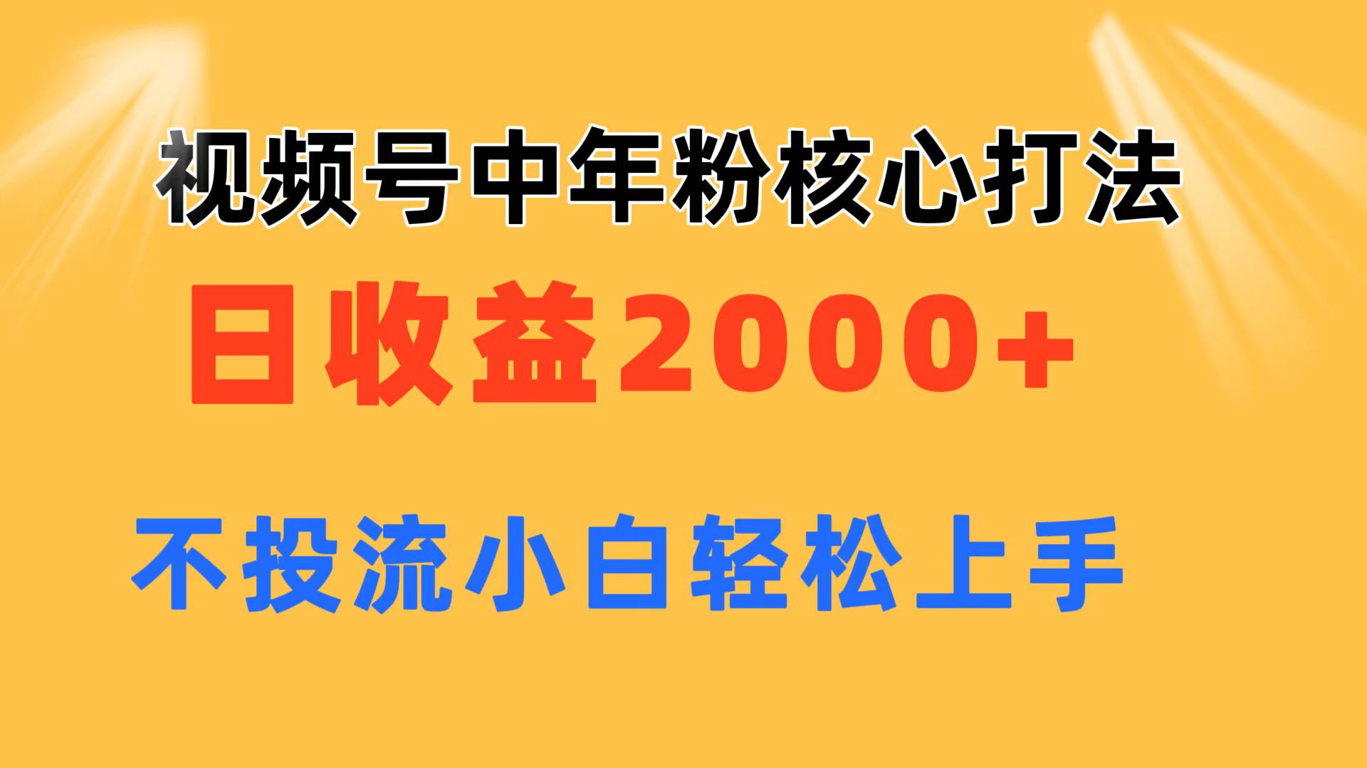 视频号中年粉核心玩法 日收益2000+ 不投流小白轻松上手-副业网
