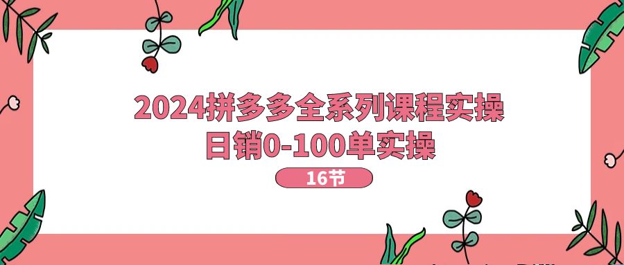 2024拼多多全系列课程实操，日销0-100单实操【16节课】-副业网