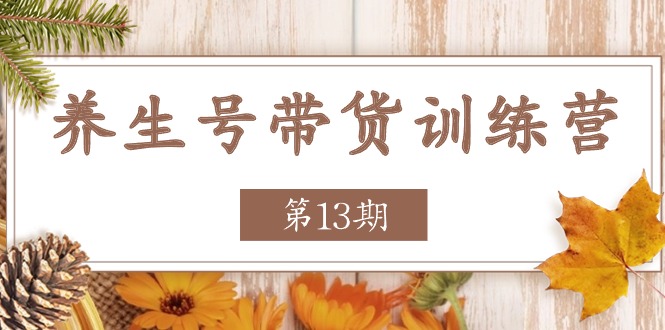 养生号-带货训练营【第13期】收益更稳定的玩法，让你带货收益爆炸-副业网