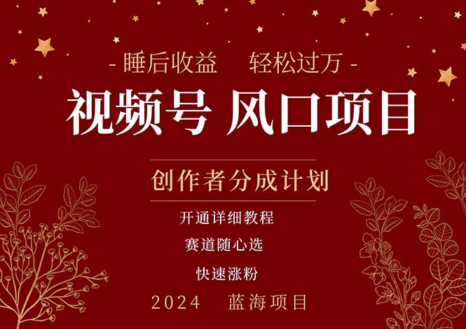 拥有睡眠收益的微信视频号大风口项目，轻松月入过万+，多赛道选择，可…-副业网
