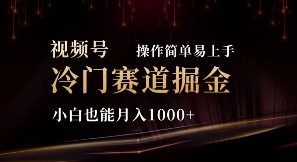 2024视频号冷门赛道掘金，操作简单轻松上手，小白也能月入1000+-副业网