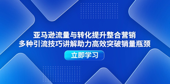 亚马逊流量与转化提升整合营销，多种引流技巧讲解助力高效突破销量瓶颈-副业网