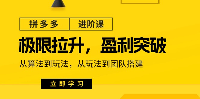 拼多多·进阶课：极限拉升/盈利突破：从算法到玩法 从玩法到团队搭建-18节-副业网
