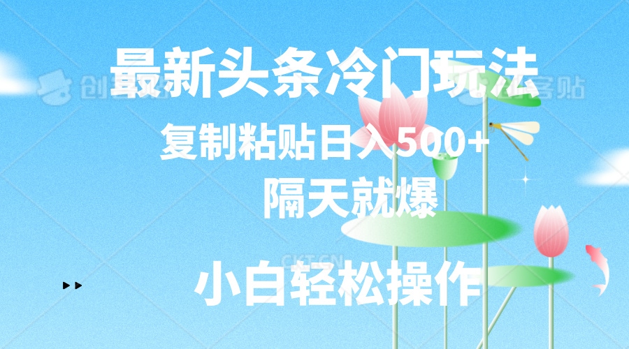 最新头条冷门玩法，隔天就爆，复制粘贴日入500+-副业网