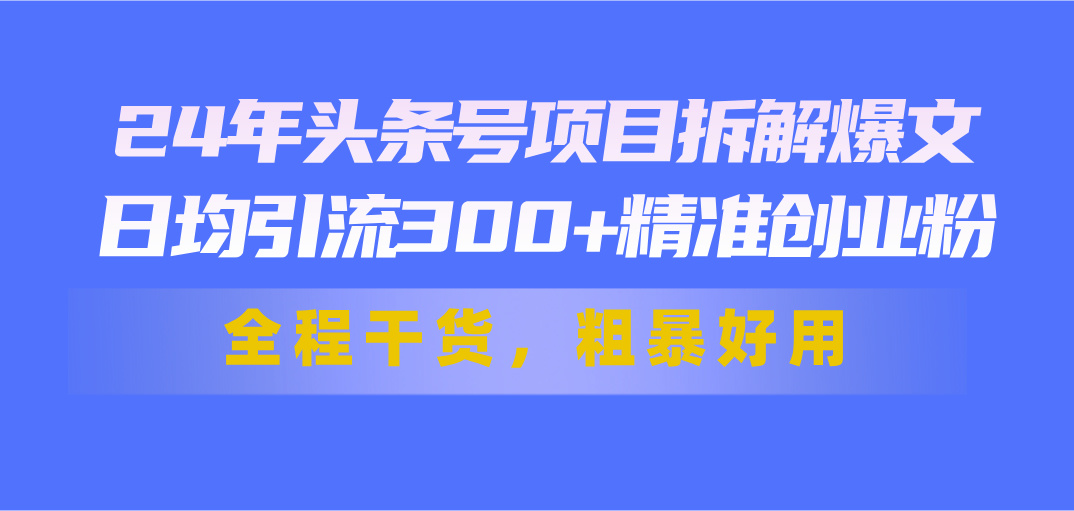 24年头条号项目拆解爆文，日均引流300+精准创业粉，全程干货，粗暴好用-副业网