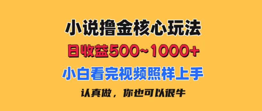 小说撸金核心玩法，日收益500-1000+，小白看完照样上手，0成本有手就行-副业网