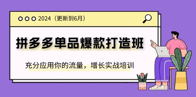 2024拼多多-单品爆款打造班(更新6月)，充分应用你的流量，增长实战培训-副业网