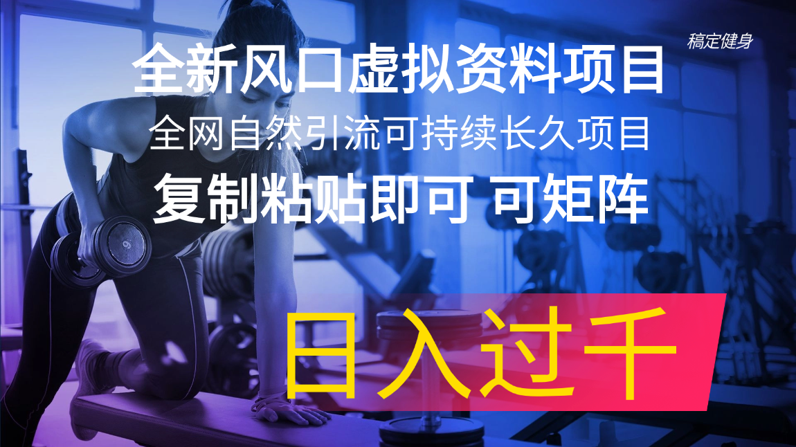 全新风口虚拟资料项目 全网自然引流可持续长久项目 复制粘贴即可可矩阵…-副业网