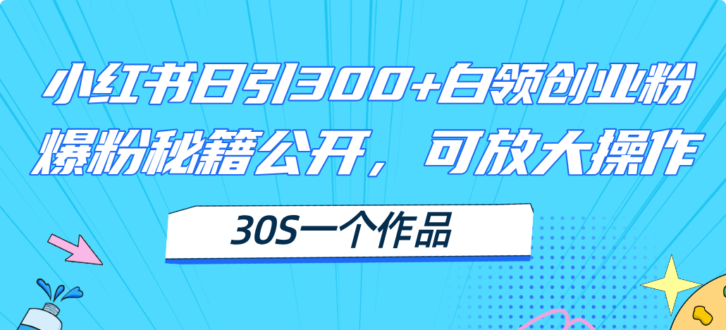 小红书日引300+高质白领创业粉，可放大操作，爆粉秘籍！30s一个作品-副业网