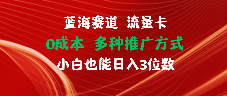蓝海赛道 流量卡 0成本 小白也能日入三位数-副业网