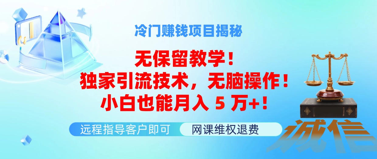 冷门赚钱项目无保留教学！独家引流技术，无脑操作！小白也能月入5万+！-副业网