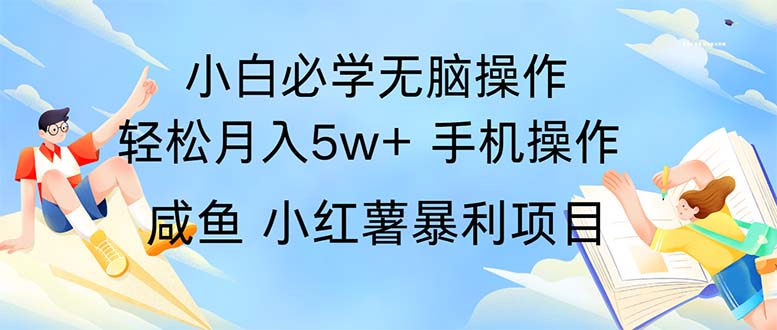 2024热门暴利手机操作项目，简单无脑操作，每单利润最少500-副业网