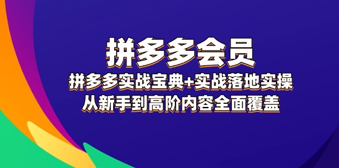拼多多 会员，拼多多实战宝典+实战落地实操，从新手到高阶内容全面覆盖-副业网