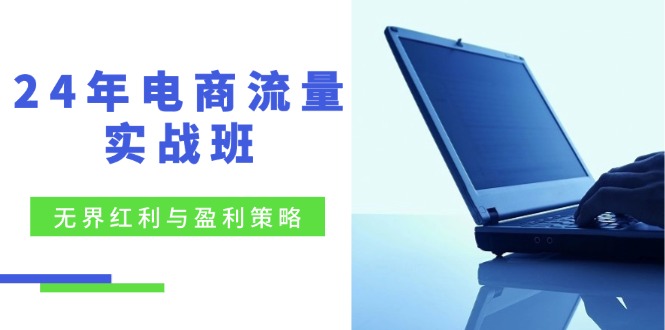 24年电商流量实战班:无界 红利与盈利策略,终极提升/关键词优化/精准…-副业网