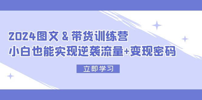 2024 图文+带货训练营，小白也能实现逆袭流量+变现密码-副业网