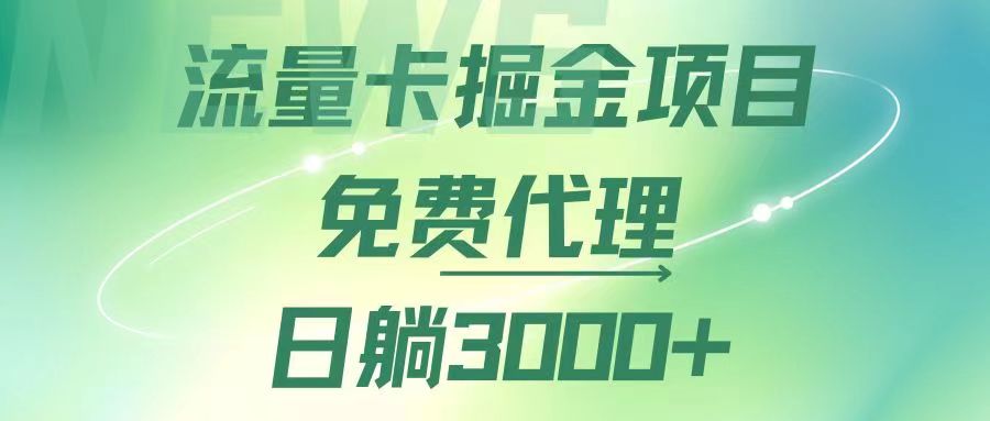 流量卡掘金代理，日躺赚3000+，变现暴力，多种推广途径-副业网