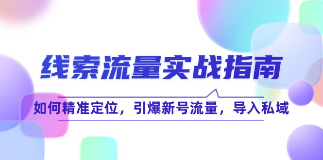 线 索 流 量-实战指南：如何精准定位，引爆新号流量，导入私域-副业网