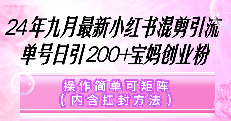 小红书混剪引流,单号日引200+宝妈创业粉,操作简单可矩阵(内含扛封…-副业网