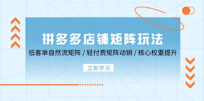 拼多多店铺矩阵玩法:低客单自然流矩阵 / 轻付费矩阵 动销 / 核心权重提升-副业网