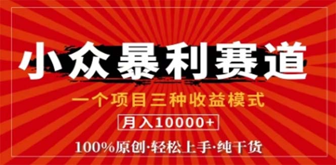 视频号最新爆火赛道，三种可收益模式，0粉新号条条原创条条热门 日入1000+-副业网