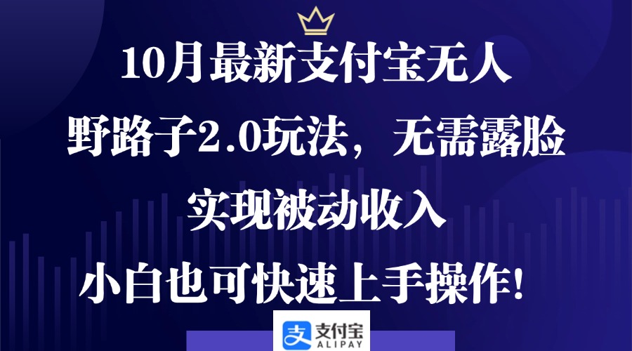 10月最新支付宝无人野路子2.0玩法，无需露脸，实现被动收入，小白也可…-副业网