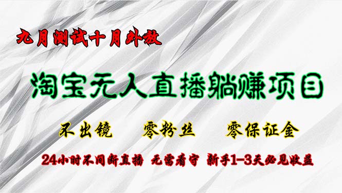 淘宝无人直播最新玩法，九月测试十月外放，不出镜零粉丝零保证金，24小…-副业网