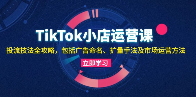 TikTok小店运营课：投流技法全攻略，包括广告命名 扩量手法及市场运营方法-副业网