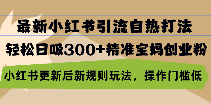最新小红书引流自热打法，轻松日吸300+精准宝妈创业粉，小红书更新后新…-副业网