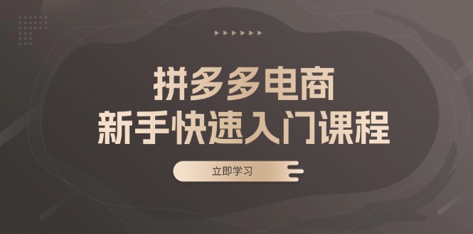 拼多多电商新手快速入门课程：涵盖基础、实战与选款，助力小白轻松上手-副业网
