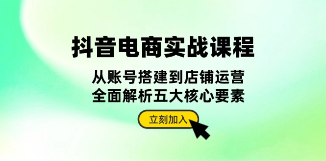 抖音 电商实战课程：从账号搭建到店铺运营，全面解析五大核心要素-副业网