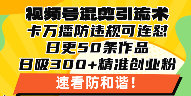 视频号混剪引流技术，500万播放引流17000创业粉，操作简单当天学会-副业网