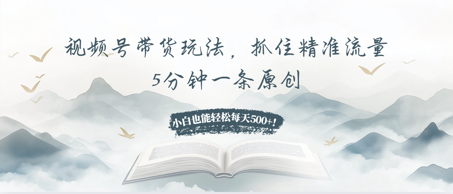 视频号带货玩法，抓住精准流量，5分钟一条原创，小白也能轻松每天500+！-副业网