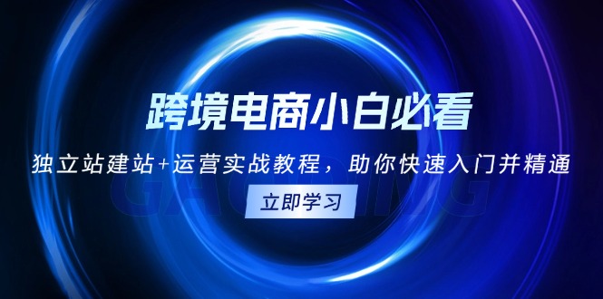 跨境电商小白必看！独立站建站+运营实战教程，助你快速入门并精通-副业网