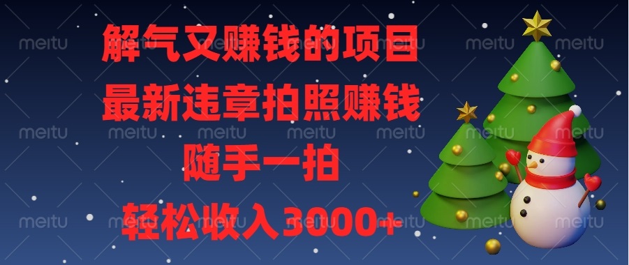 解气又赚钱的项目，最新违章拍照赚钱，随手一拍，轻松收入3000+-副业网