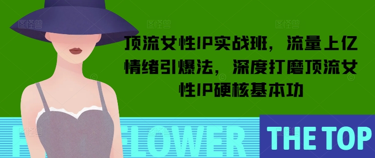 顶流女性IP实战班，流量上亿情绪引爆法，深度打磨顶流女性IP硬核基本功-副业网