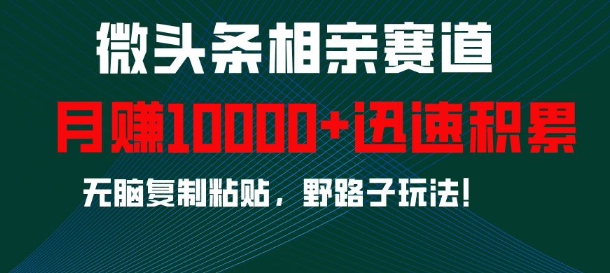 微头条相亲赛道，迅速积累，无脑复制粘贴，野路子玩法，月入1w-副业网