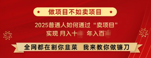 必看，做项目不如卖项目，2025普通人如何通过“卖项目”实现月入十个，年入百个-副业网