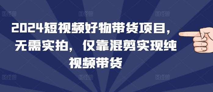 2024短视频好物带货项目，无需实拍，仅靠混剪实现纯视频带货-副业网