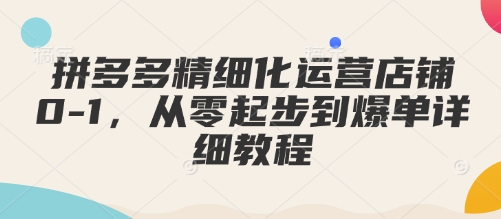 拼多多精细化运营店铺0-1，从零起步到爆单详细教程-副业网