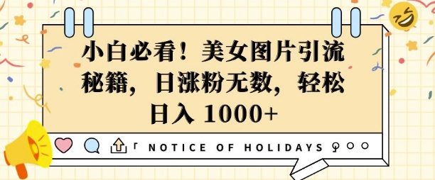 小白必看，美女图片引流秘籍，日涨粉无数，轻松日入几张【揭秘】-副业网
