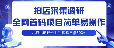 拍店采集调研，全网首码项目，简单易操作， 小白也能轻松上手，多账号操作，轻松日入5张【揭秘】-副业网