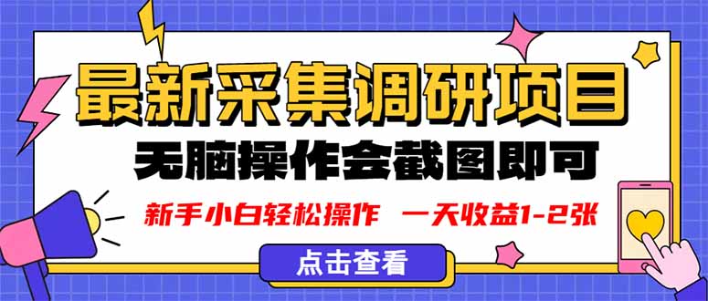 新版采集调研项目，截图上传即可，无脑操作，日收益1-2张-副业网