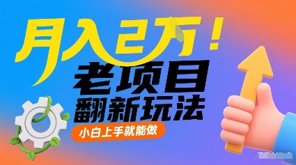 月入2W！老项目翻新玩法，小白上手就能做，非常容易上手-副业网