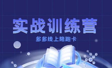 多多实战训练营，从0到1打造一个真正賺钱的店铺-副业网