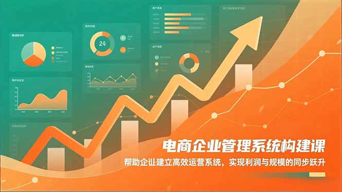 电商企业管理系统构建课：帮助企业建立高效运营系统，实现利润与规模的同步跃升-副业网